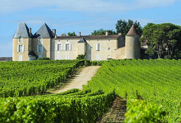 Le Chateau d'Yquem et son vignoble, dans le bordelais